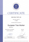 zertifizierter European Tree Worker