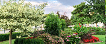 Gartenbau, Pflanzungen 