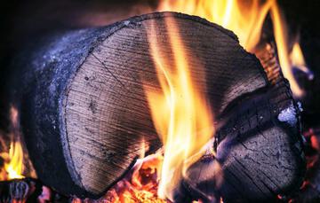 Brennholz kaufen München